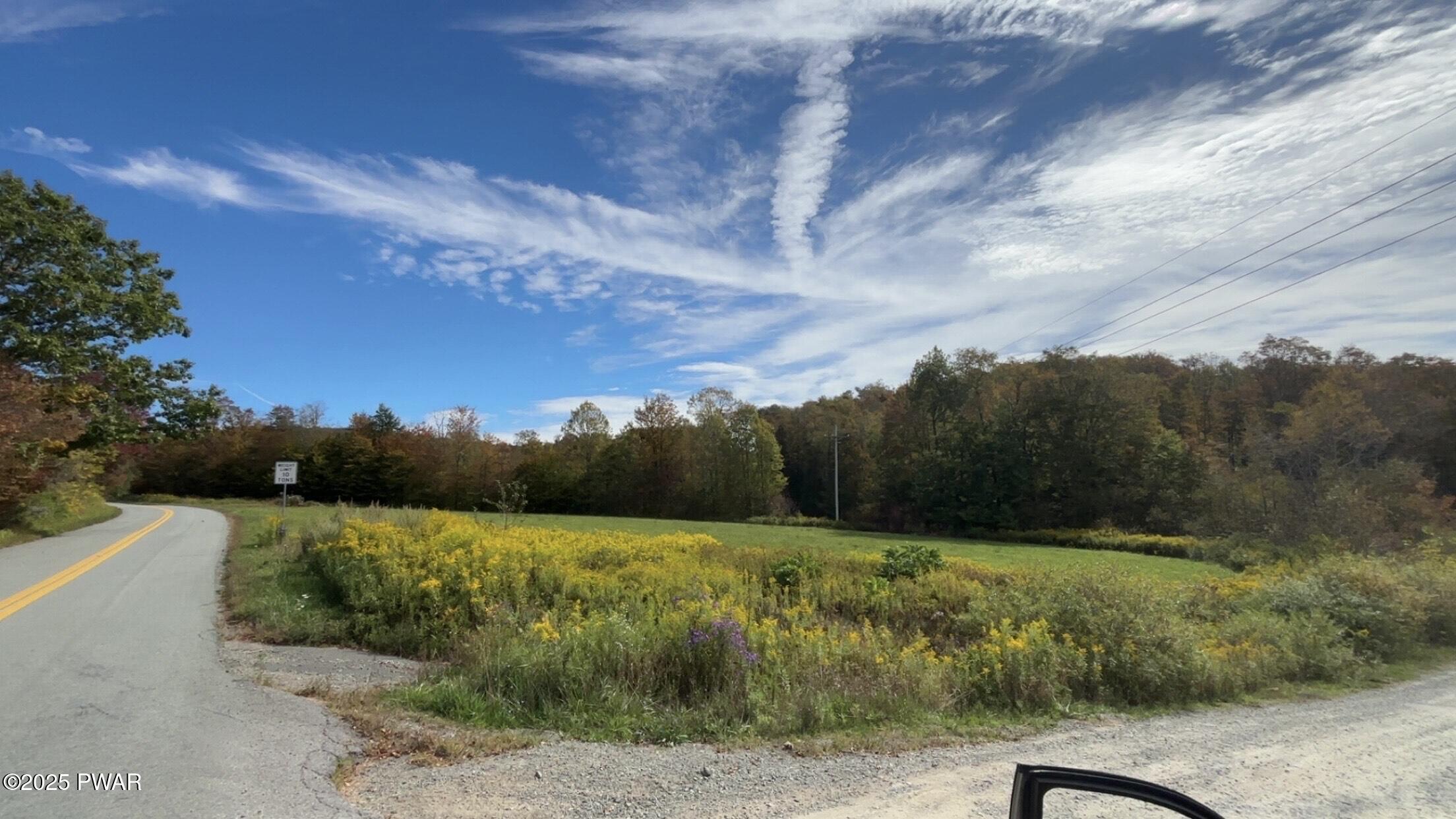 Shadigee Creek Road Road Starrucca, PA 18462 - Photo 2 of 3