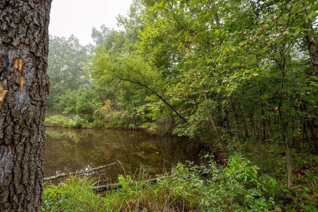 6030 Southeast 740 Pvt Road Collins, MO 64738 - Photo 53 of 64 Gallery Image 53