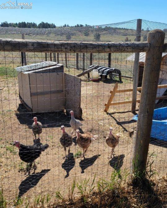 5910 McCart Ranch Circle Elizabeth, CO 80107 - Photo 37 of 50 Turkeys!