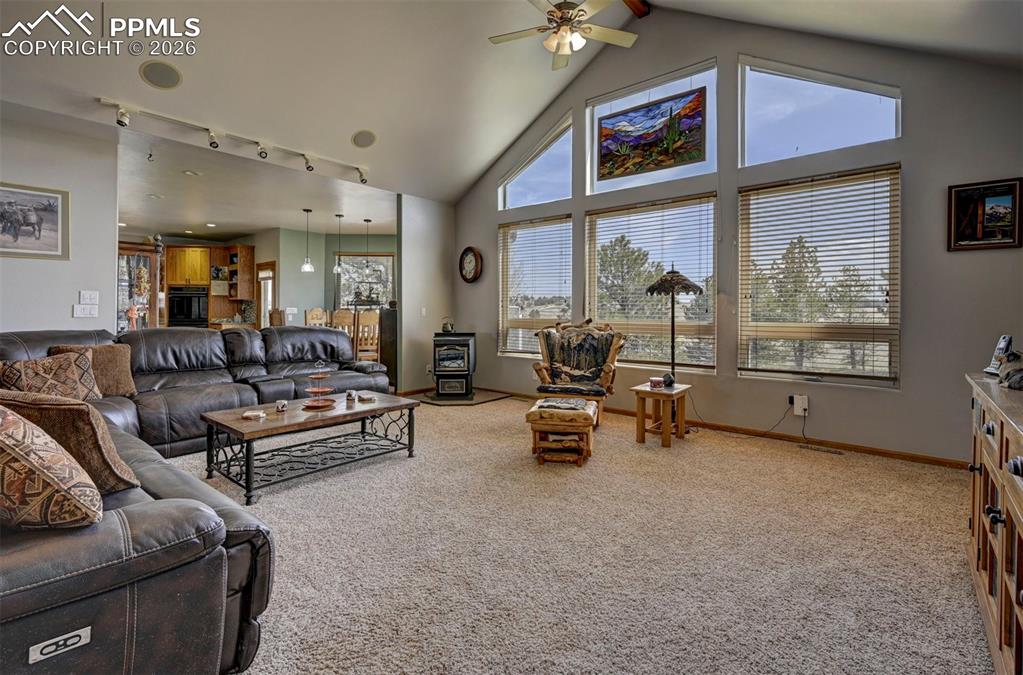5910 McCart Ranch Circle Elizabeth, CO 80107 - Photo 5 of 50 Great room with floor to ceiling windows to let in an abundance of natural light, and a pellet stove to keep you cozy