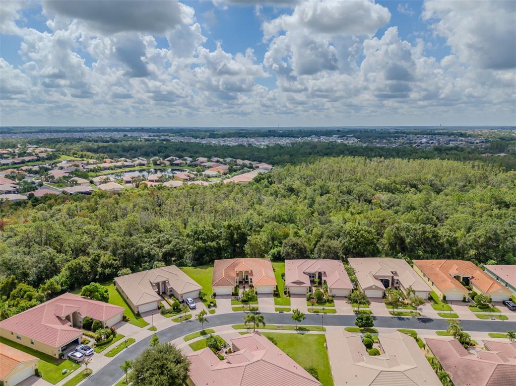 16130 Amethyst Key Drive Wimauma, FL 33598 - Photo 39 of 84