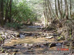 Lot#9 Rich Mountain Road Morganton, NC 28655 - Photo 5 of 10 Gallery Image 5