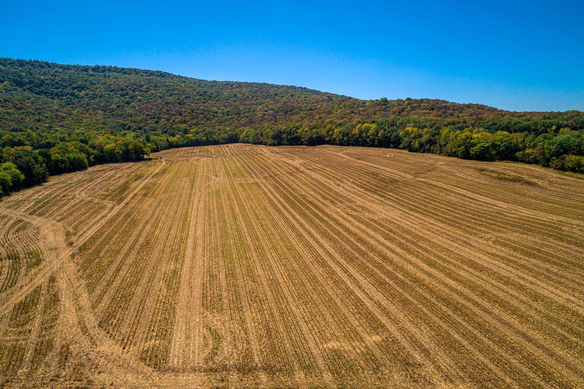 1 Hickory Grove Road Huntland, TN 37345 - Photo 24 of 27 Gallery Image 24