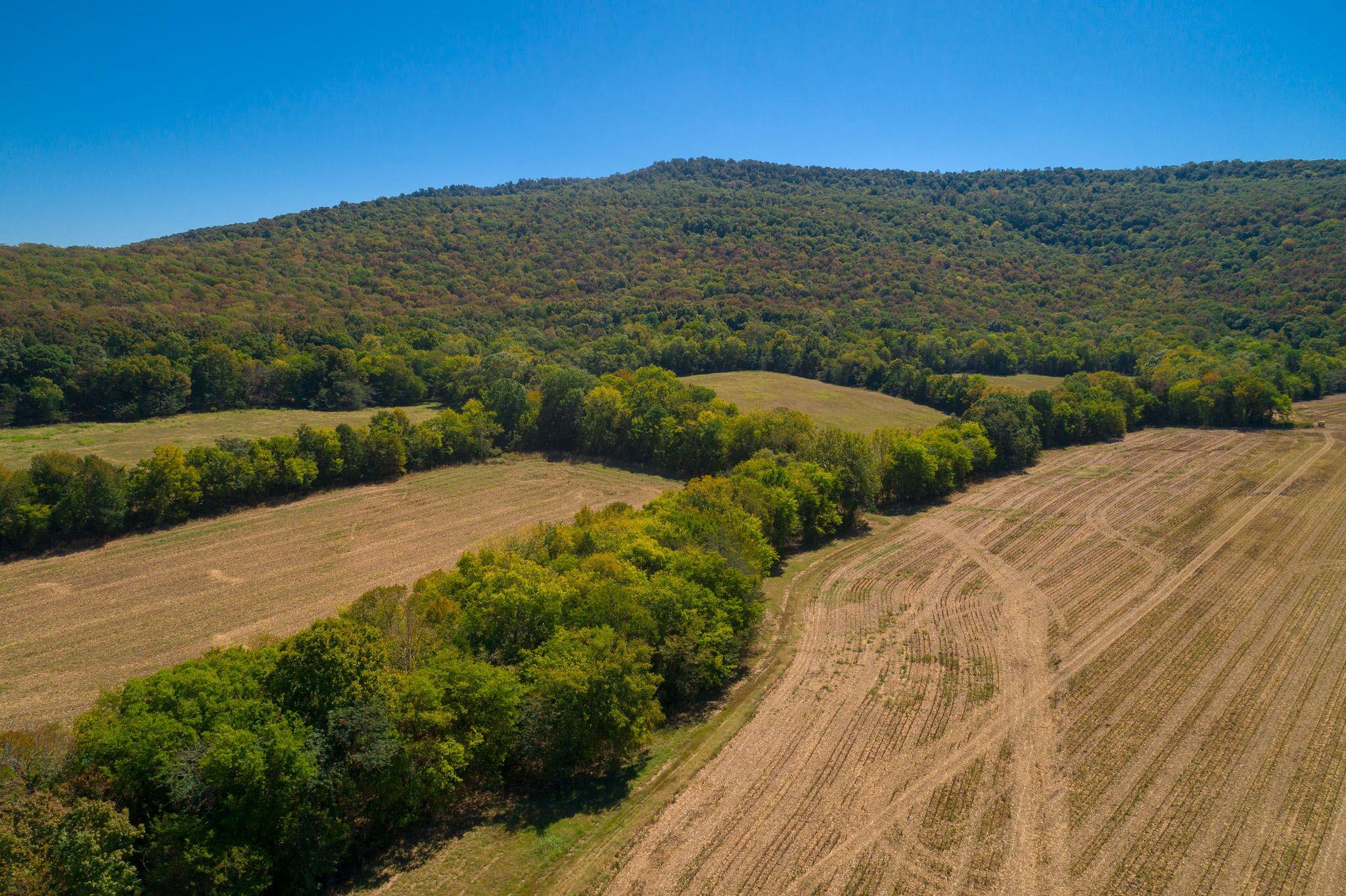 1 Hickory Grove Road Huntland, TN 37345 - Photo 27 of 27 Gallery Image 27