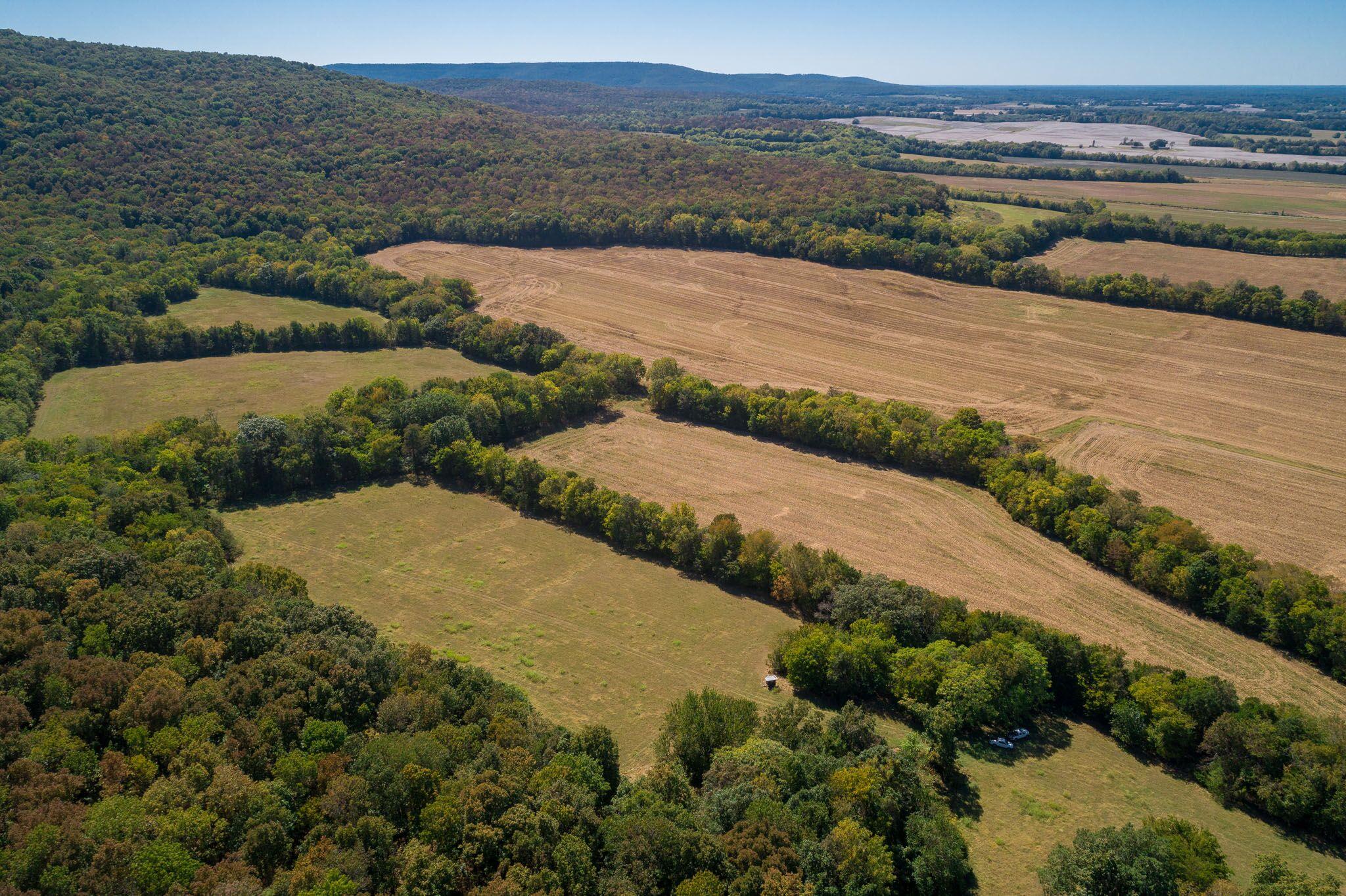 1 Hickory Grove Road Huntland, TN 37345 - Photo 7 of 27 Gallery Image 7