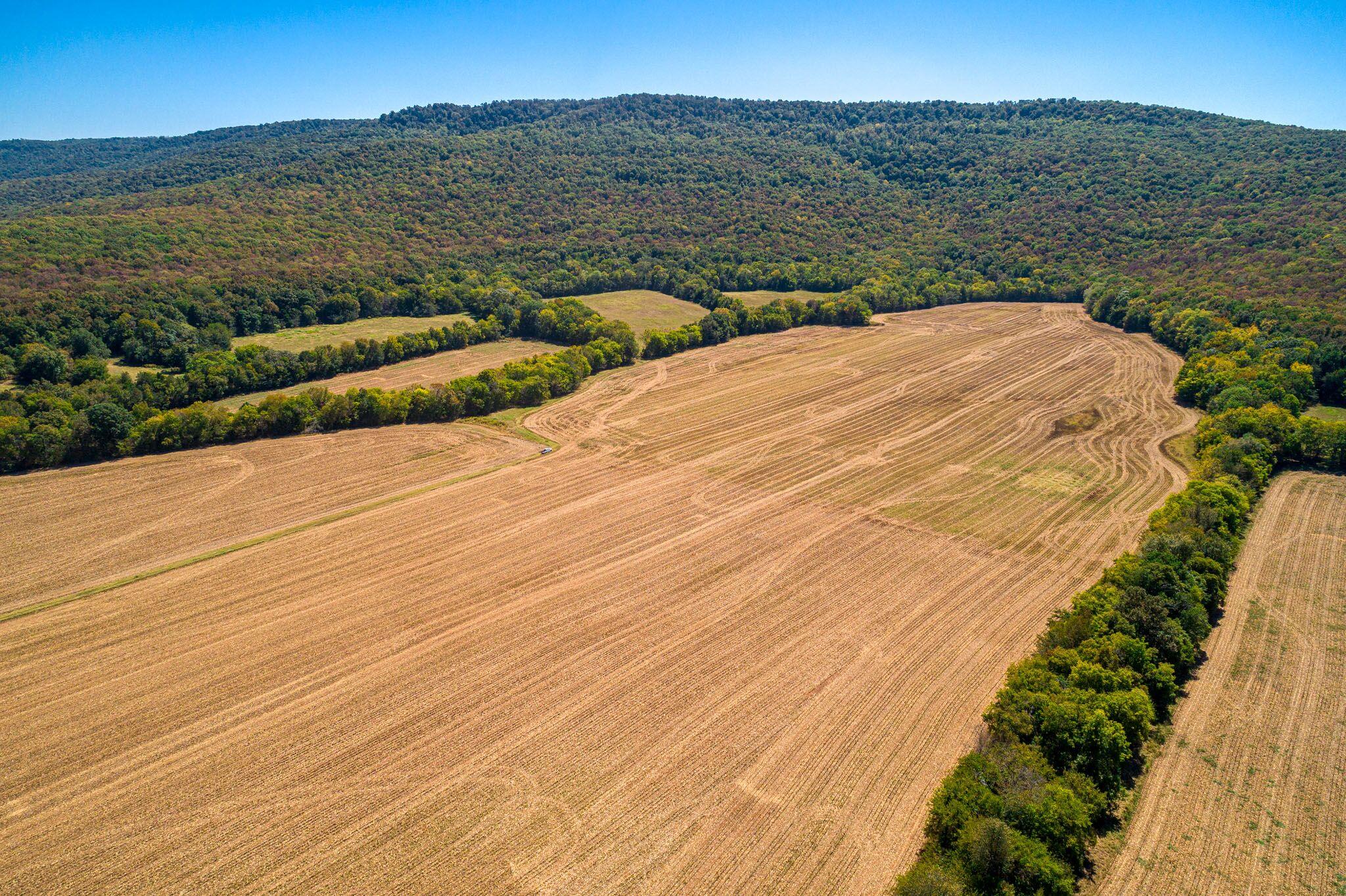 1 Hickory Grove Road Huntland, TN 37345 - Photo 9 of 27 Gallery Image 9