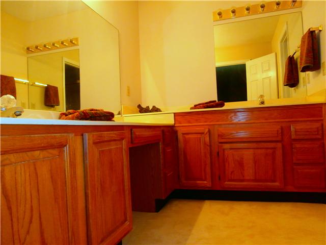 738 Doak Road Manchester, TN 37355 - Photo 13 of 13 Another view of master bathroom.