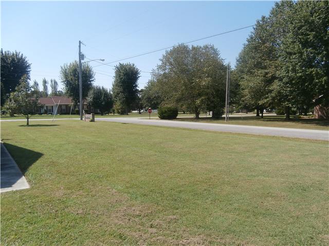 738 Doak Road Manchester, TN 37355 - Photo 4 of 13 View of neighborhood from front yard.