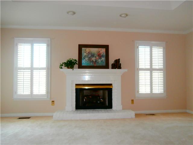 738 Doak Road Manchester, TN 37355 - Photo 8 of 13 Large greatroom has windows, outside door and gas logs in fireplace.