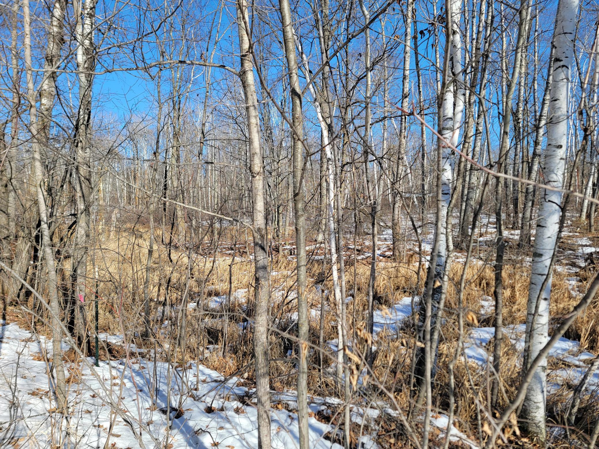 Xxxx Meadow Lake Road Southwest Motley, MN 56466 - Photo 13 of 14