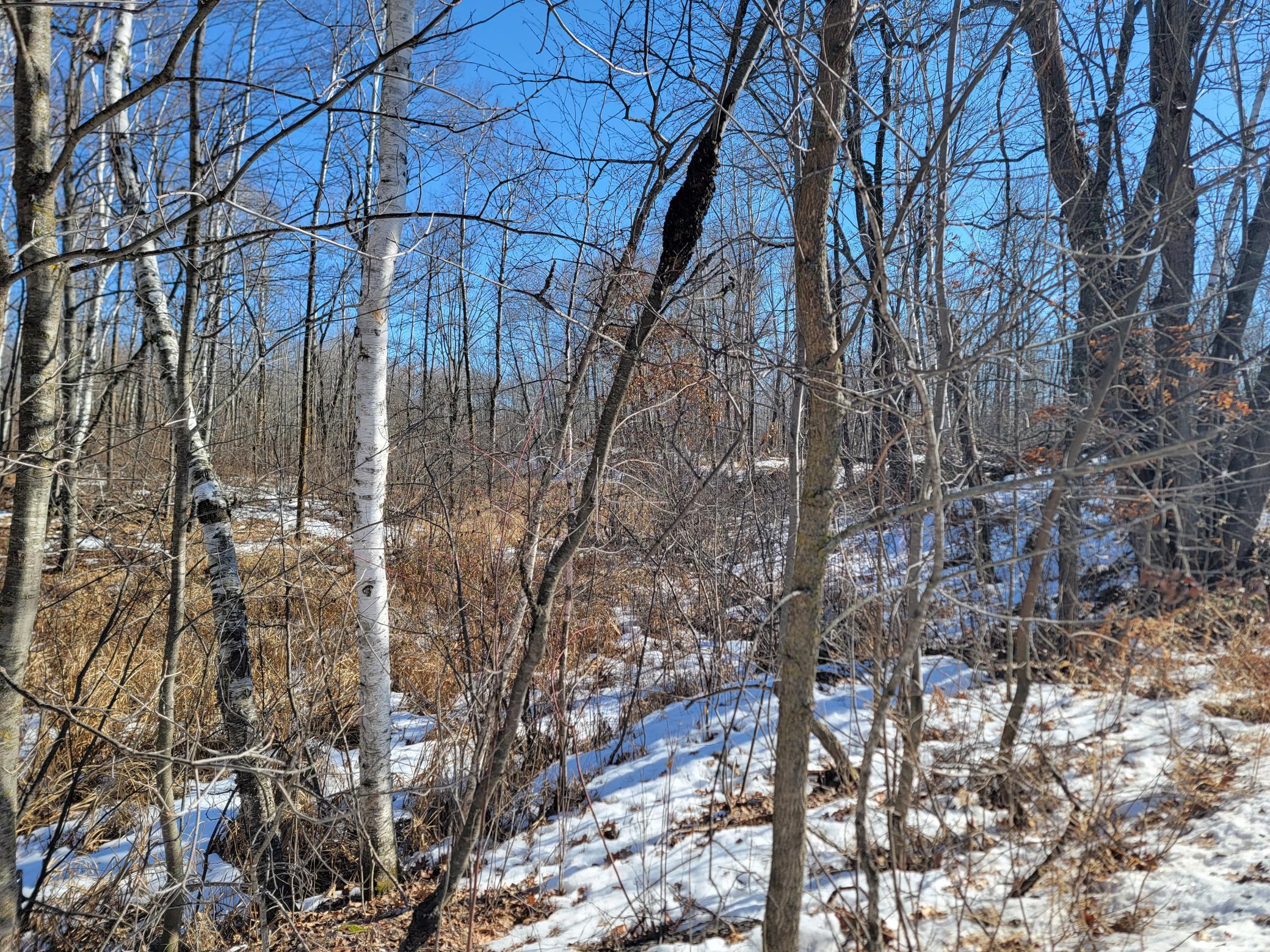 Xxxx Meadow Lake Road Southwest Motley, MN 56466 - Photo 14 of 14