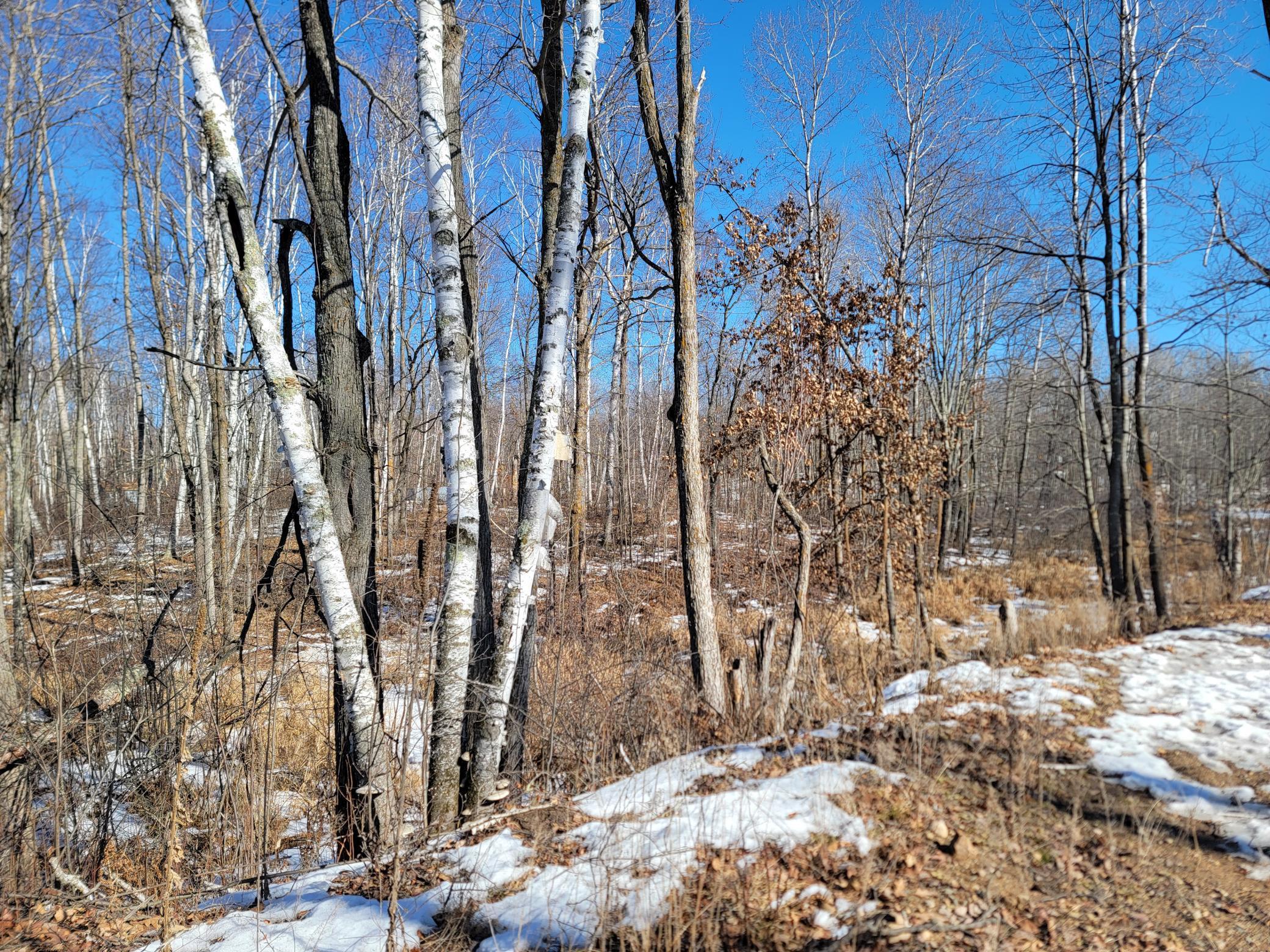 Xxxx Meadow Lake Road Southwest Motley, MN 56466 - Photo 2 of 14