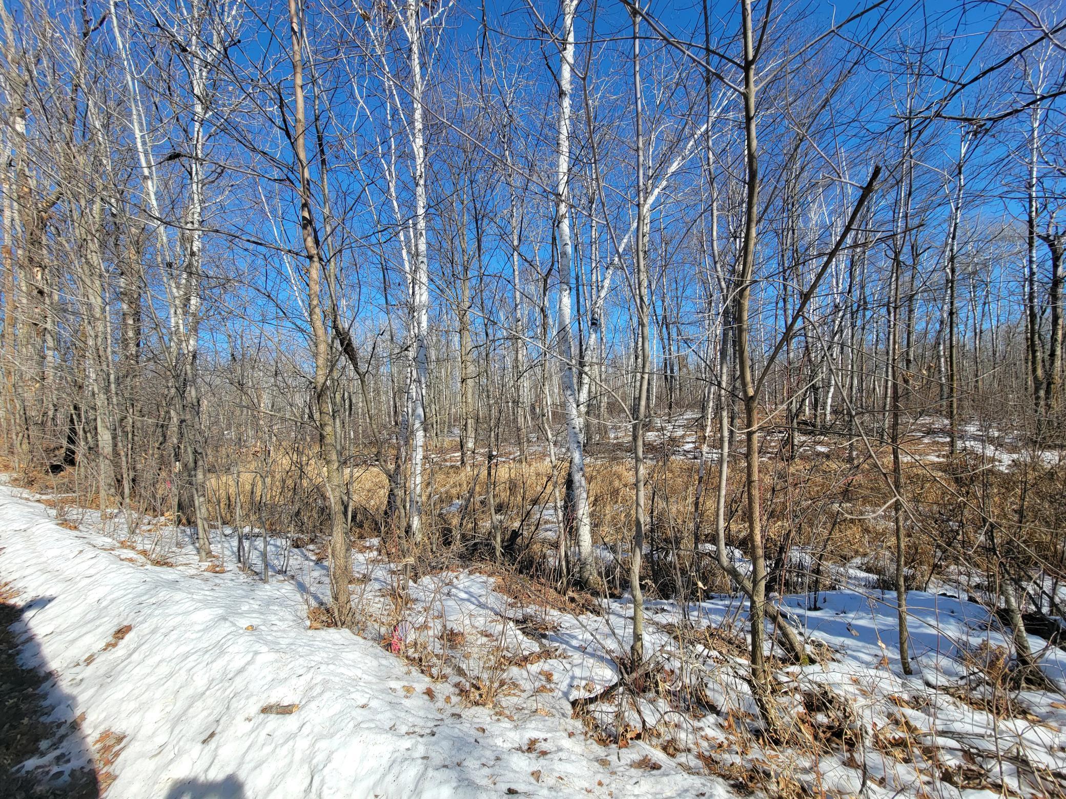 Xxxx Meadow Lake Road Southwest Motley, MN 56466 - Photo 4 of 14