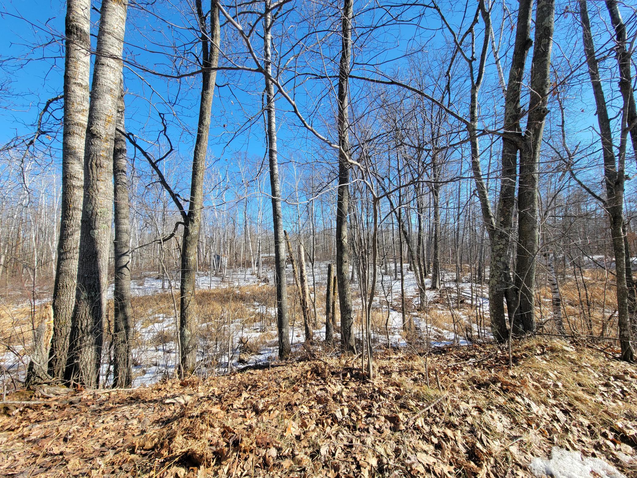Xxxx Meadow Lake Road Southwest Motley, MN 56466 - Photo 5 of 14
