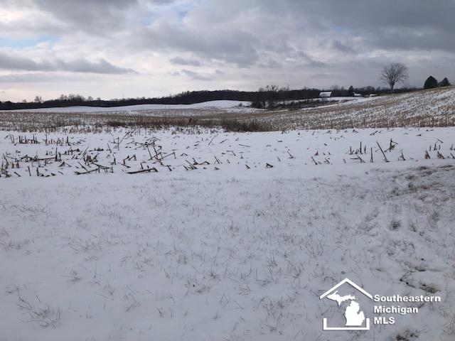 1211 East Cellars Road Camden, MI 49232 - Photo 2 of 7