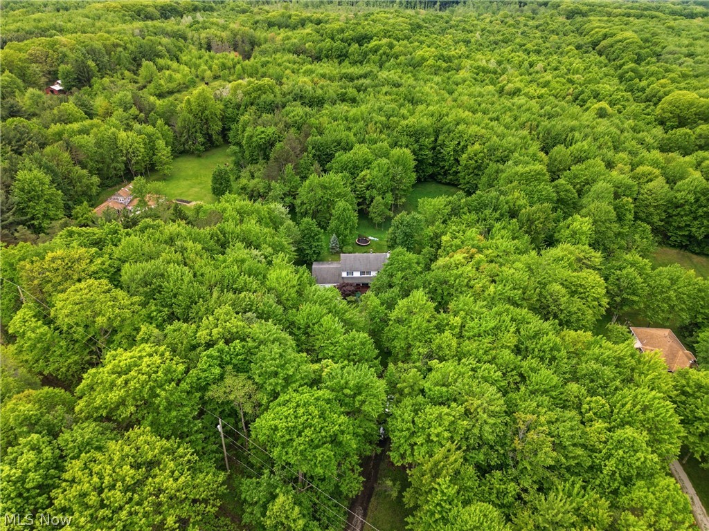 5738 Dewey Road Madison, OH 44057 - Photo 41 of 46