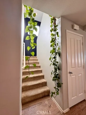 a view of entryway with flower pots