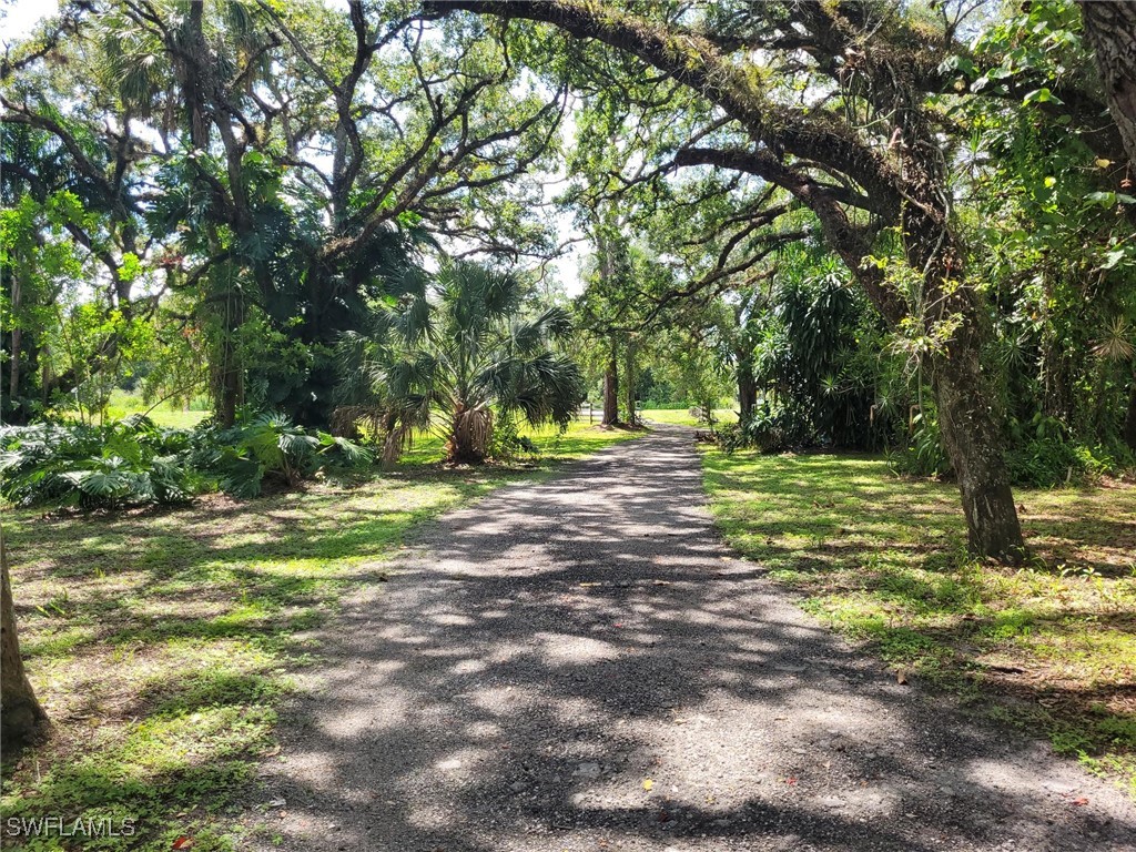 2371 County Road 78 LaBelle, FL 33935 - Photo 2 of 17 a view of outdoor space with trees all around