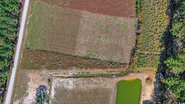 $45,000 | Lot 7 Jewel Lane, Conway, SC 29527