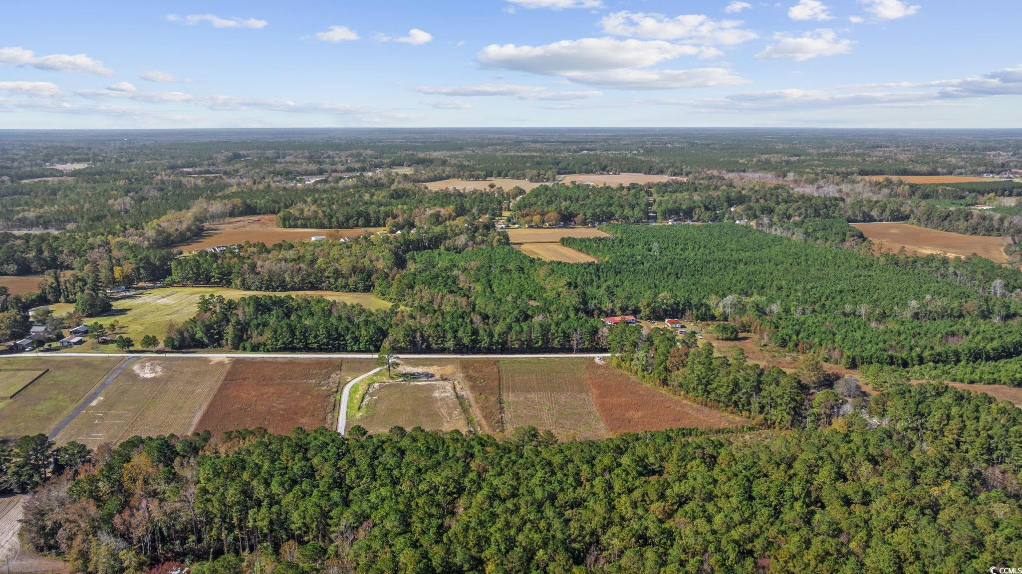 Lot 7 Jewel Lane Conway, SC 29527 - Photo 11 of 14 View of property location with a forest