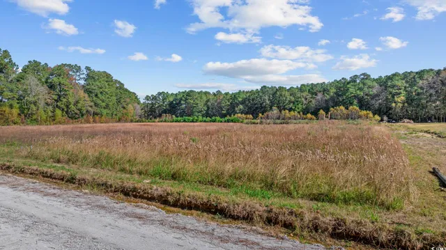 $44,900 | Lot 7 Jewel Lane, Conway, SC 29527