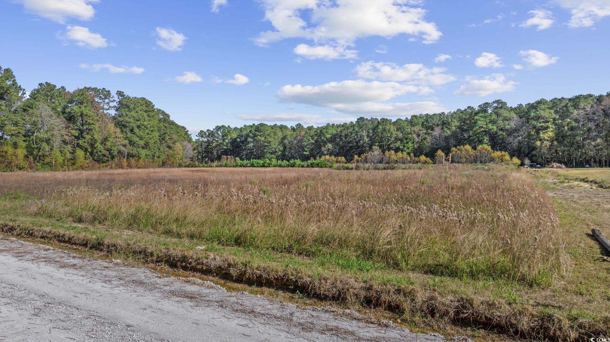 Lot 7 Jewel Lane Conway, SC 29527 - Photo 14 of 14 View of wooded area