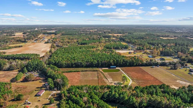 $44,900 | Lot 7 Jewel Lane, Conway, SC 29527