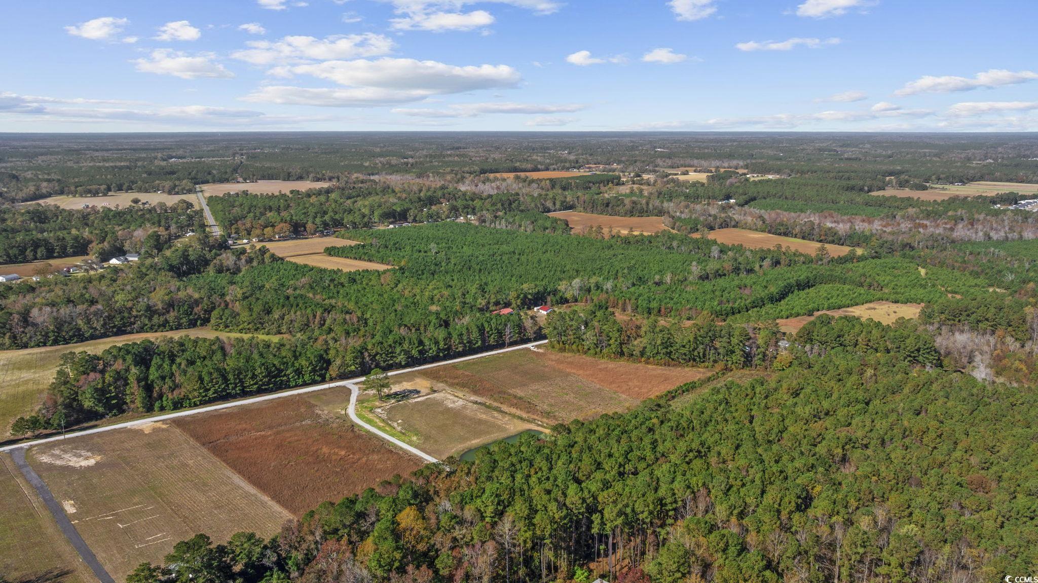 Lot 7 Jewel Lane Conway, SC 29527 - Photo 6 of 14 Aerial view of property's location with a forest