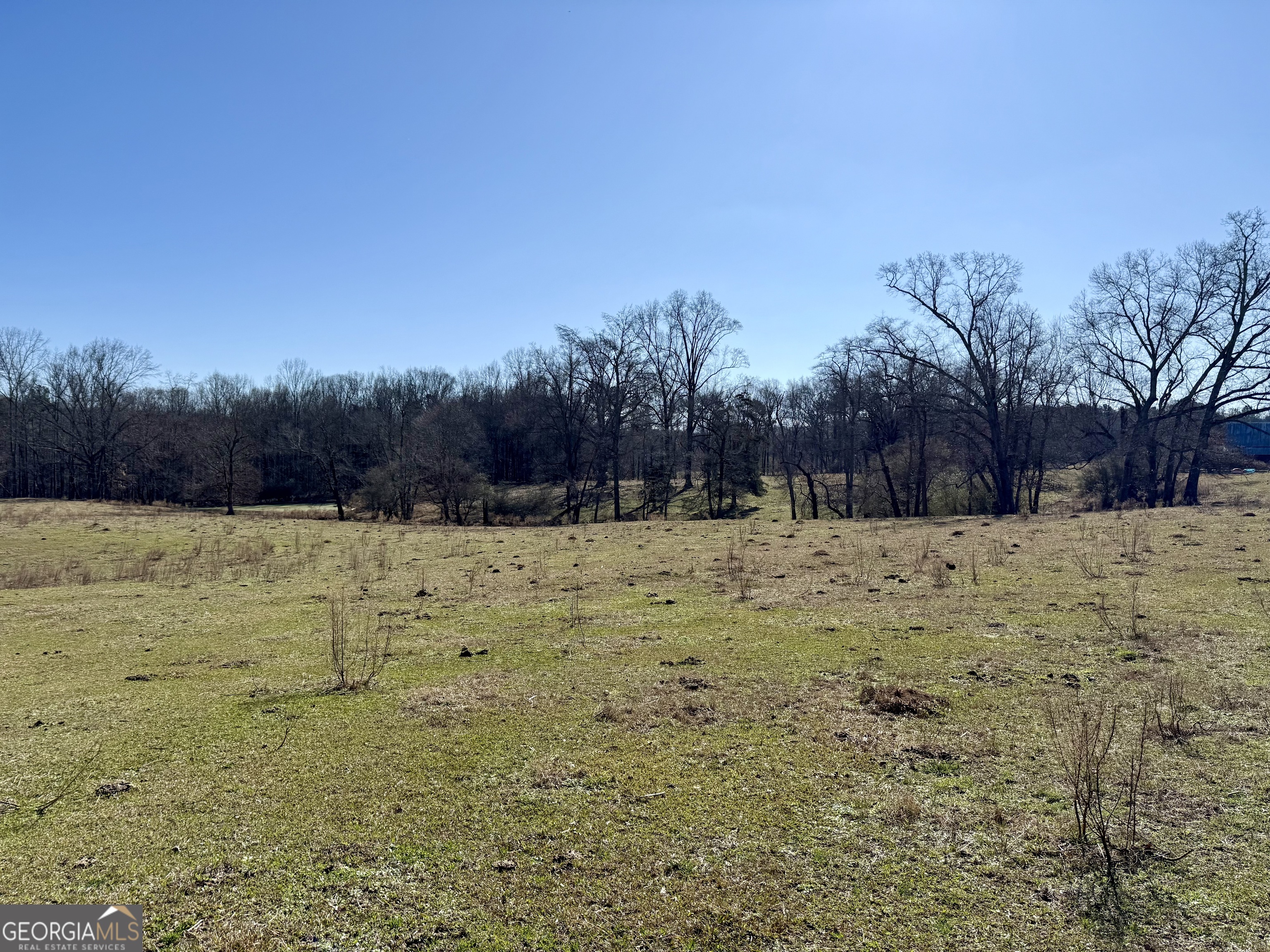 1120 Kansas Jake Road Waco, GA 30182 - Photo 31 of 42
