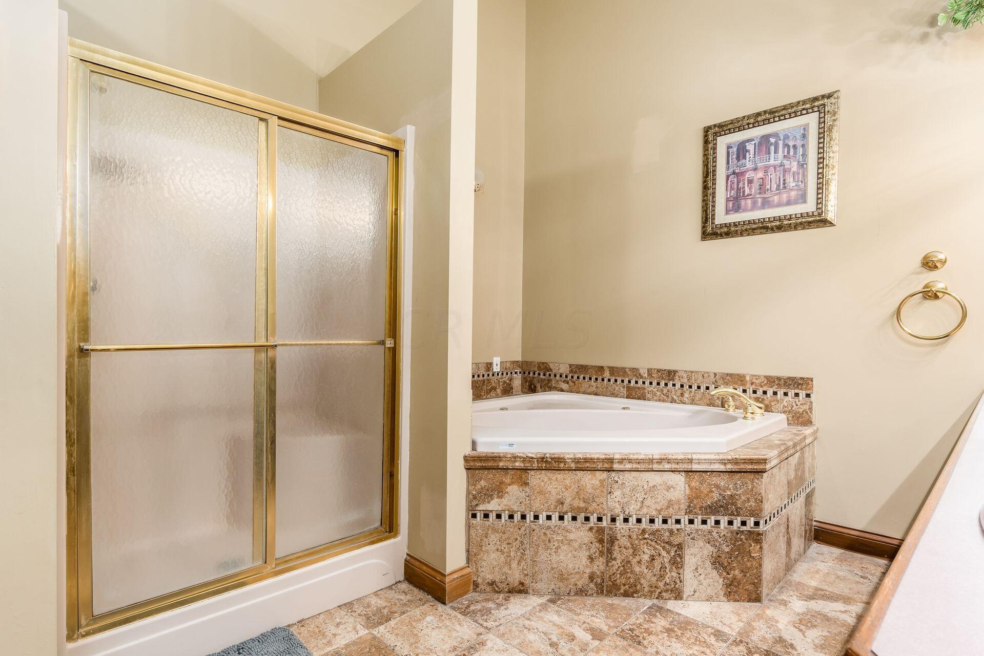 9083 Taylor Road Orient, OH 43146 - Photo 53 of 93 Owner's Bath with Jetted Tub