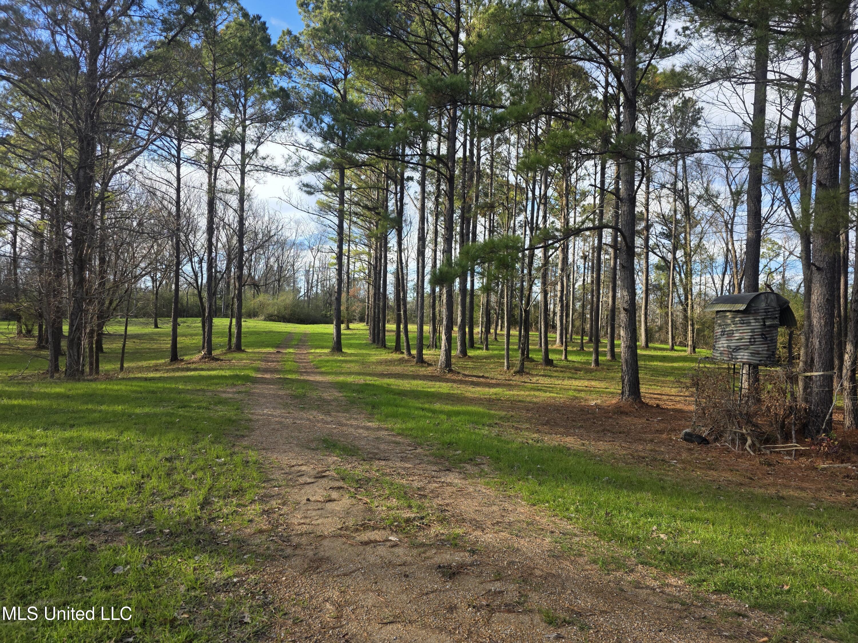 753 Old Highway 84 Roxie, MS 39661 - Photo 11 of 38 24042