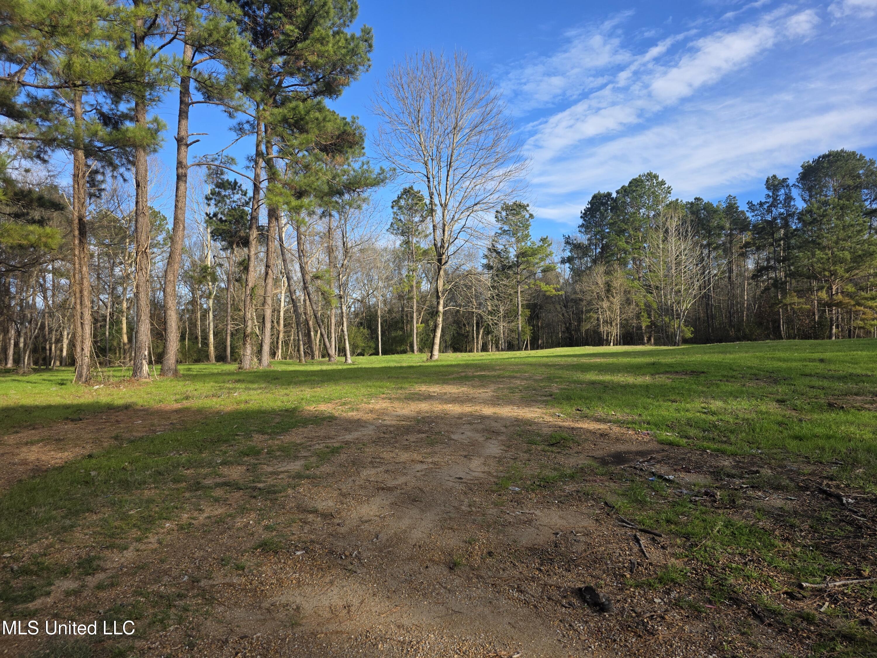753 Old Highway 84 Roxie, MS 39661 - Photo 12 of 38 24043