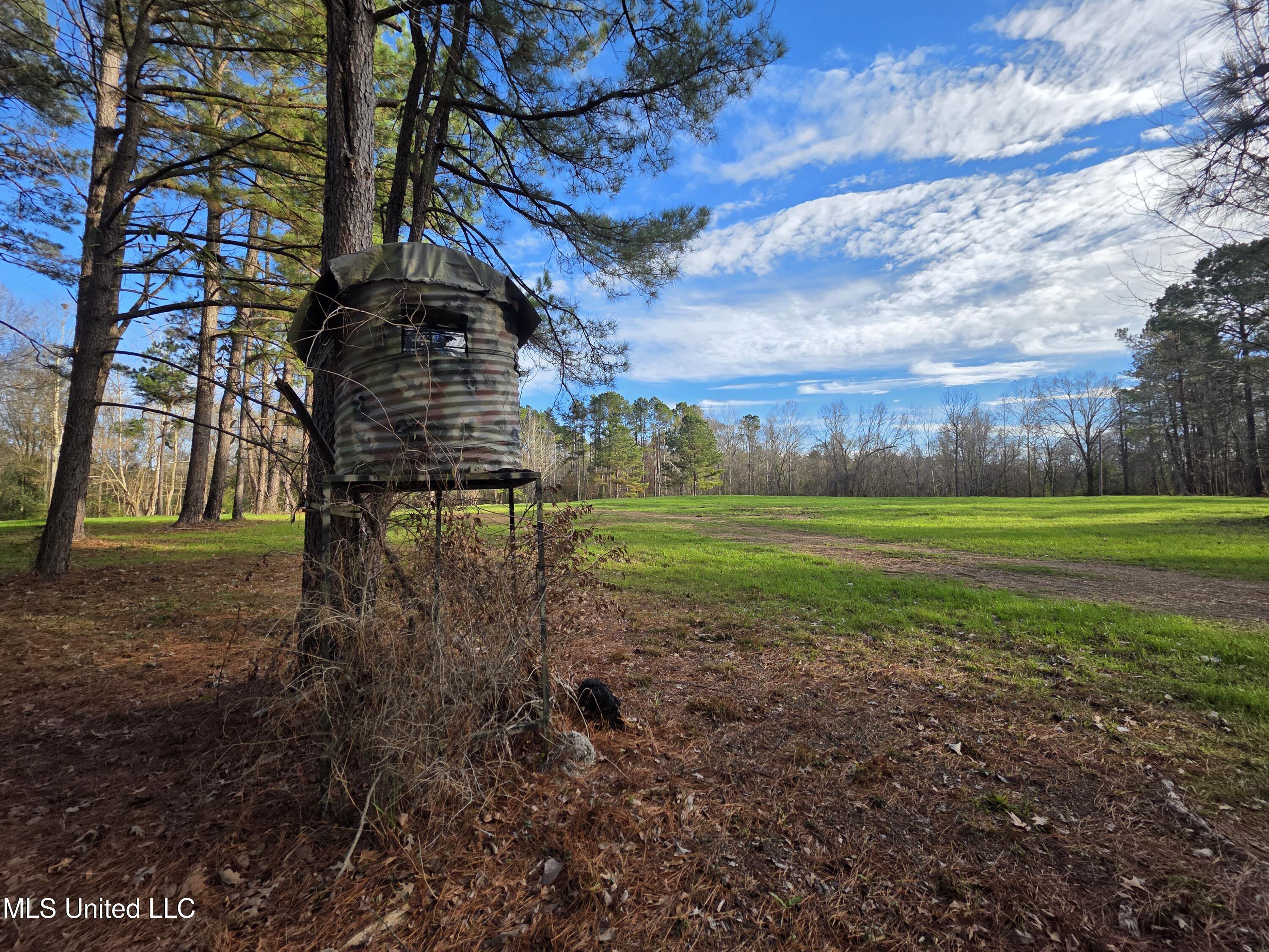 753 Old Highway 84 Roxie, MS 39661 - Photo 13 of 38 24046