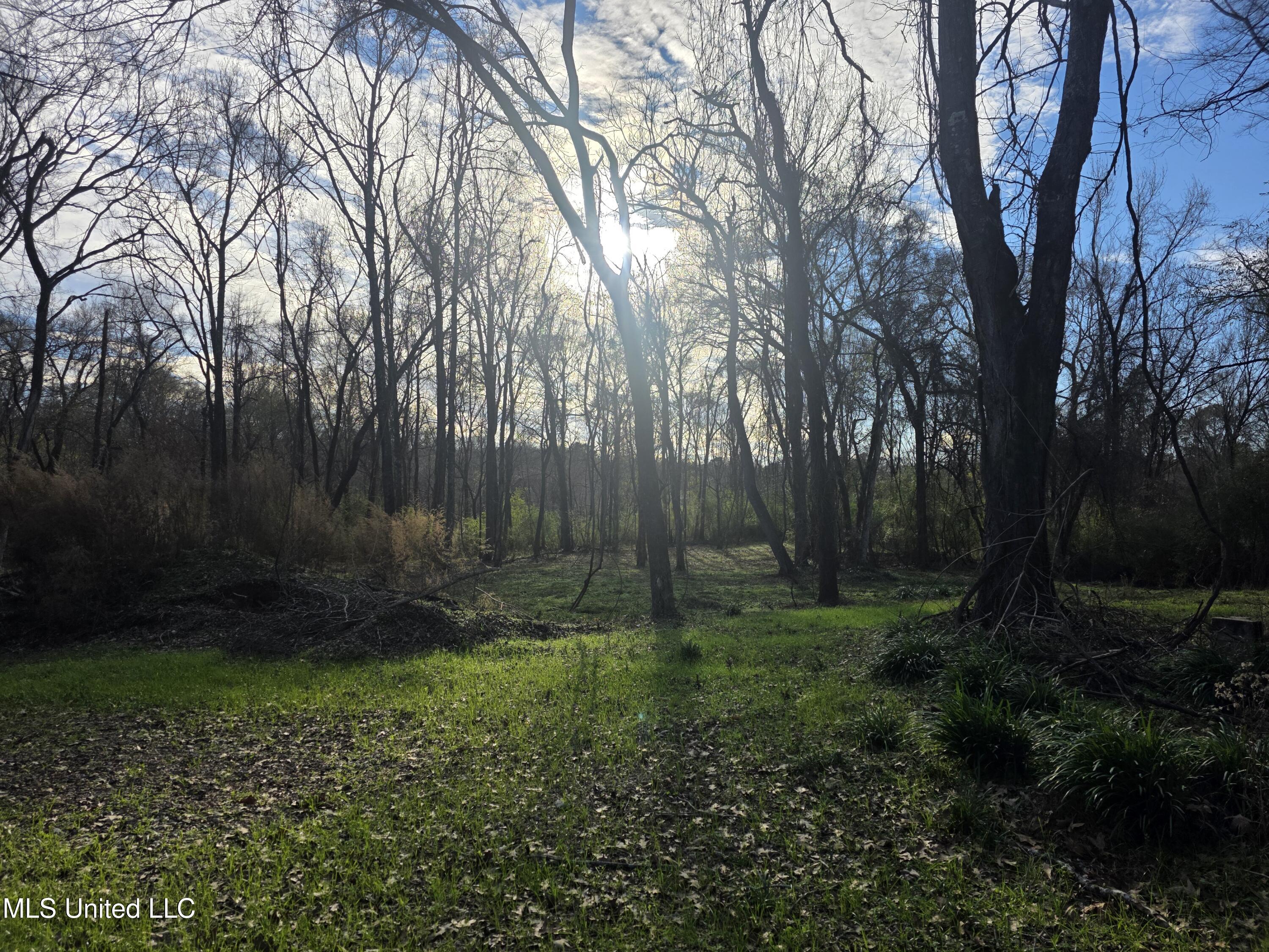 753 Old Highway 84 Roxie, MS 39661 - Photo 17 of 38 24061