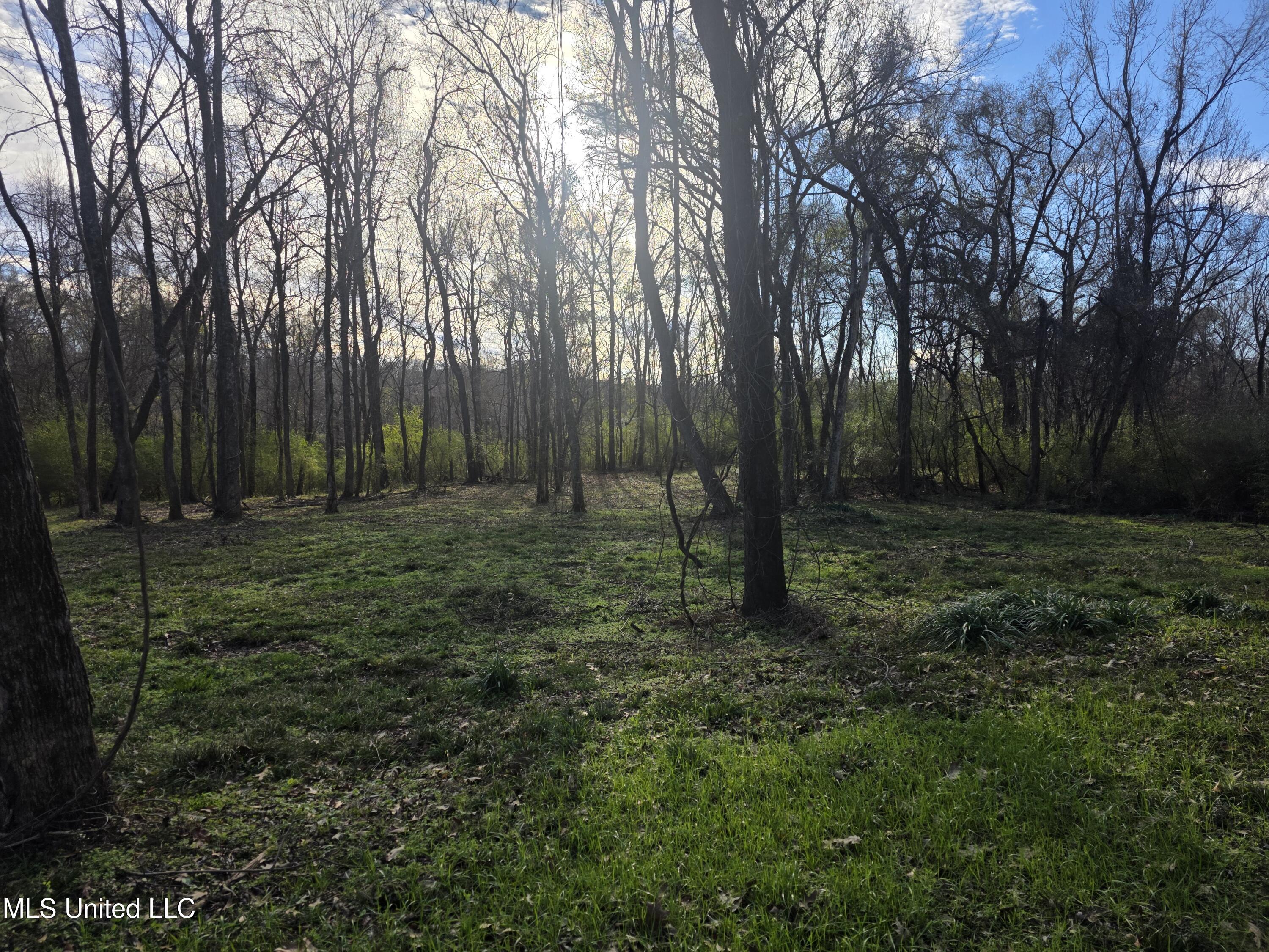 753 Old Highway 84 Roxie, MS 39661 - Photo 18 of 38 24062