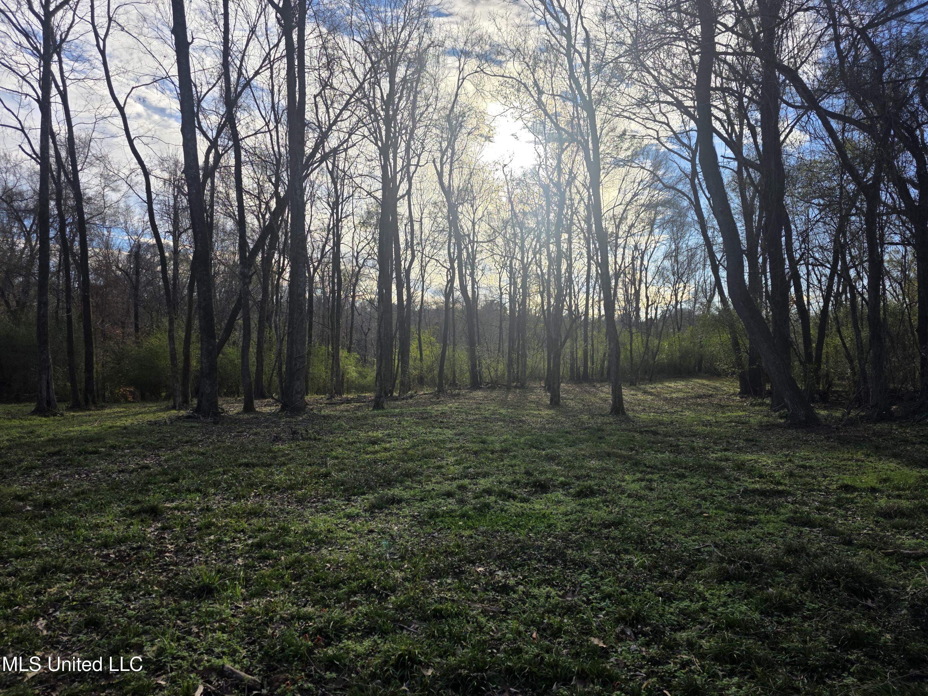 753 Old Highway 84 Roxie, MS 39661 - Photo 19 of 38 24063