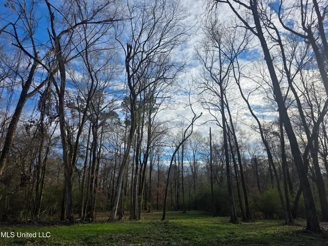 $175,000 | 753 Old Highway 84, Roxie, MS 39661