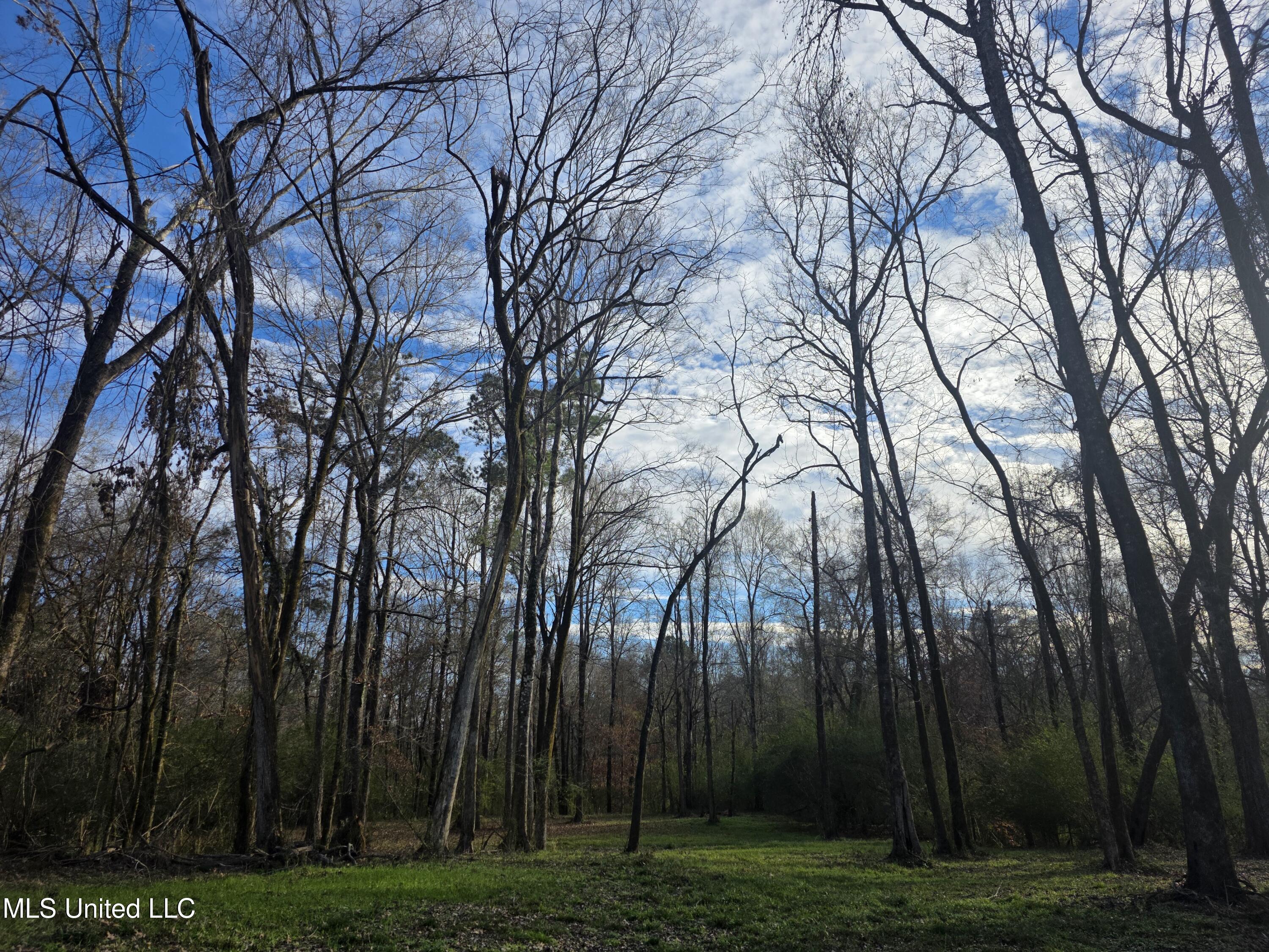 753 Old Highway 84 Roxie, MS 39661 - Photo 20 of 38 24064