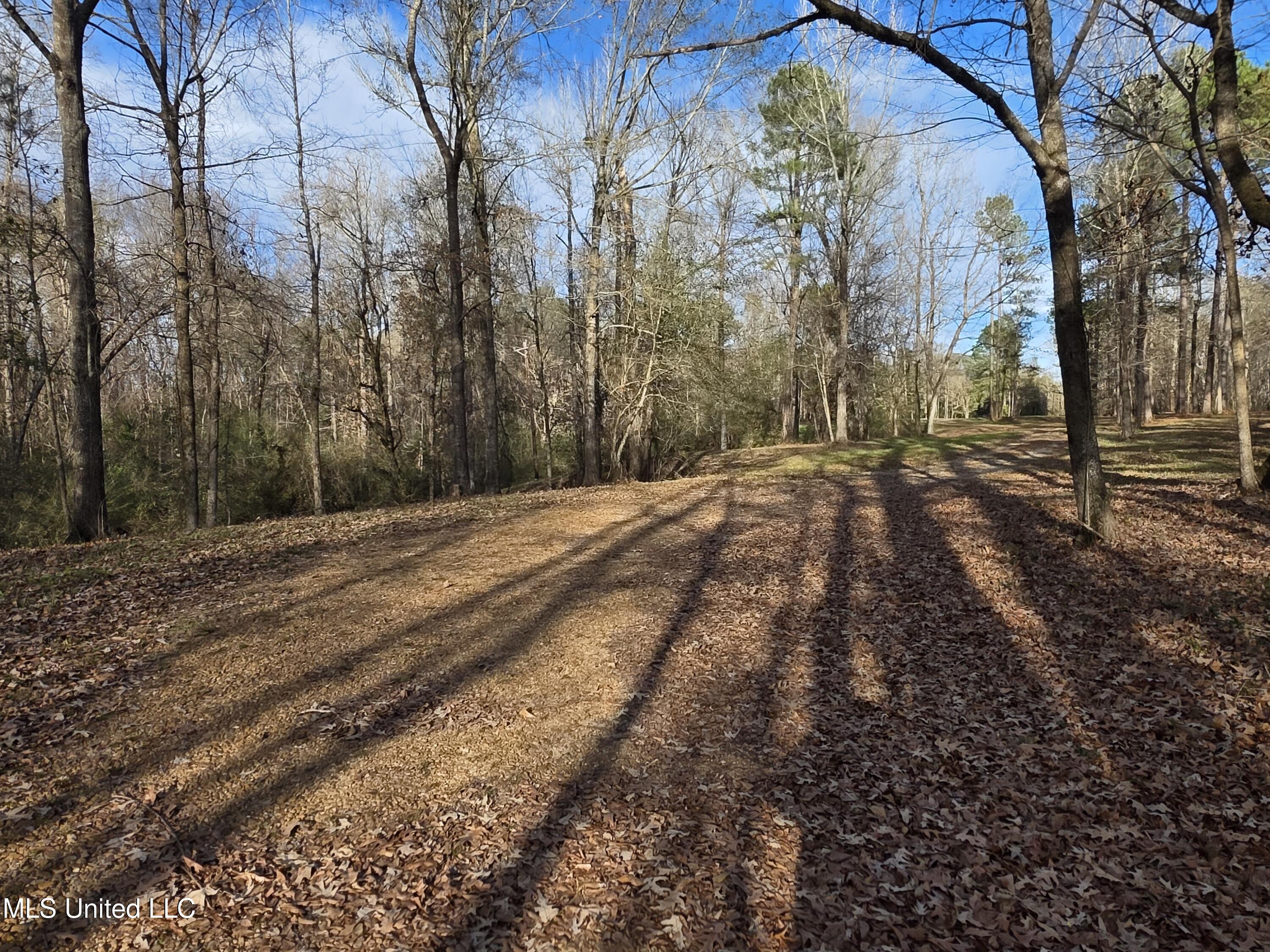 753 Old Highway 84 Roxie, MS 39661 - Photo 2 of 38 24019