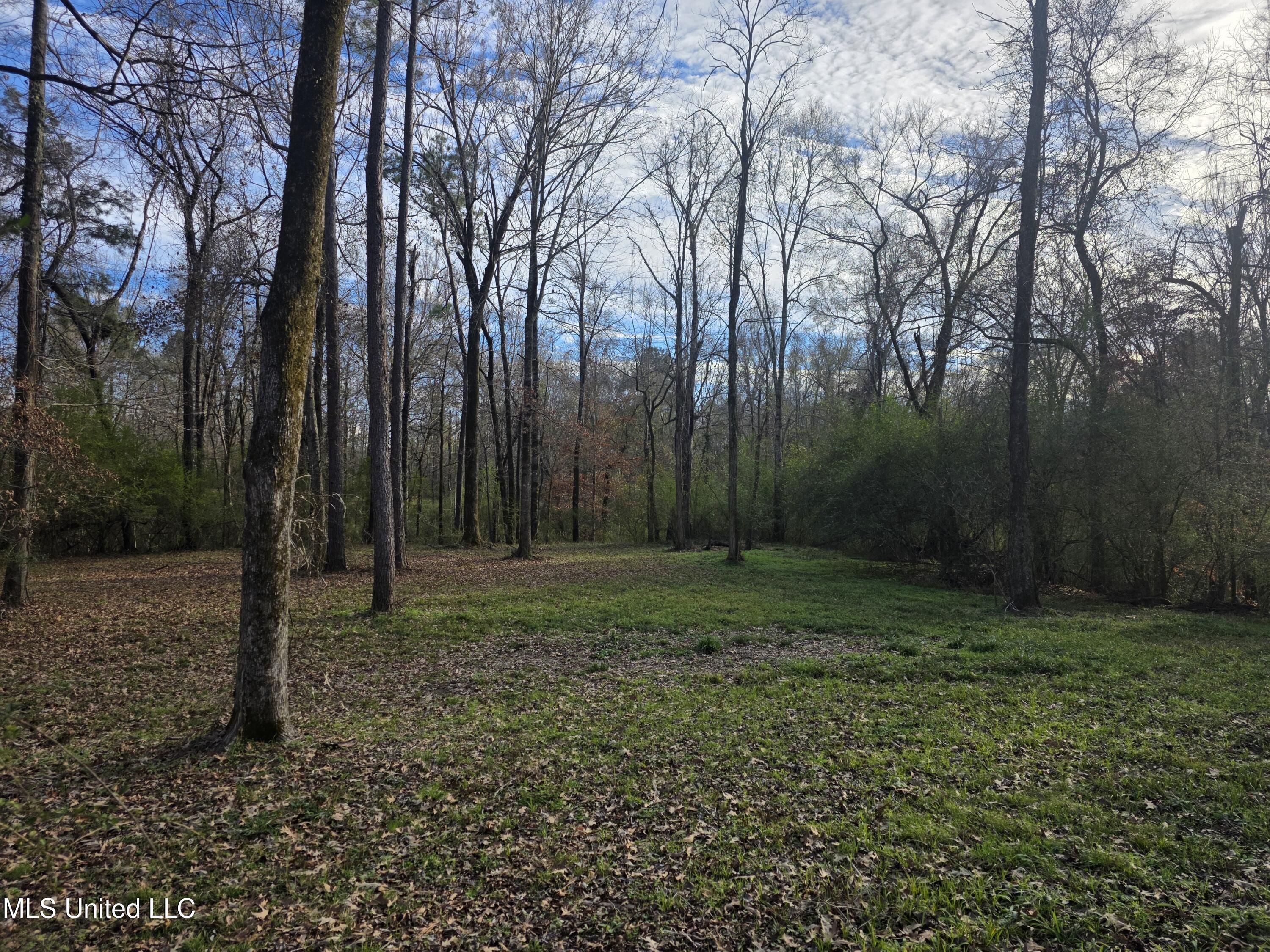 753 Old Highway 84 Roxie, MS 39661 - Photo 21 of 38 24068