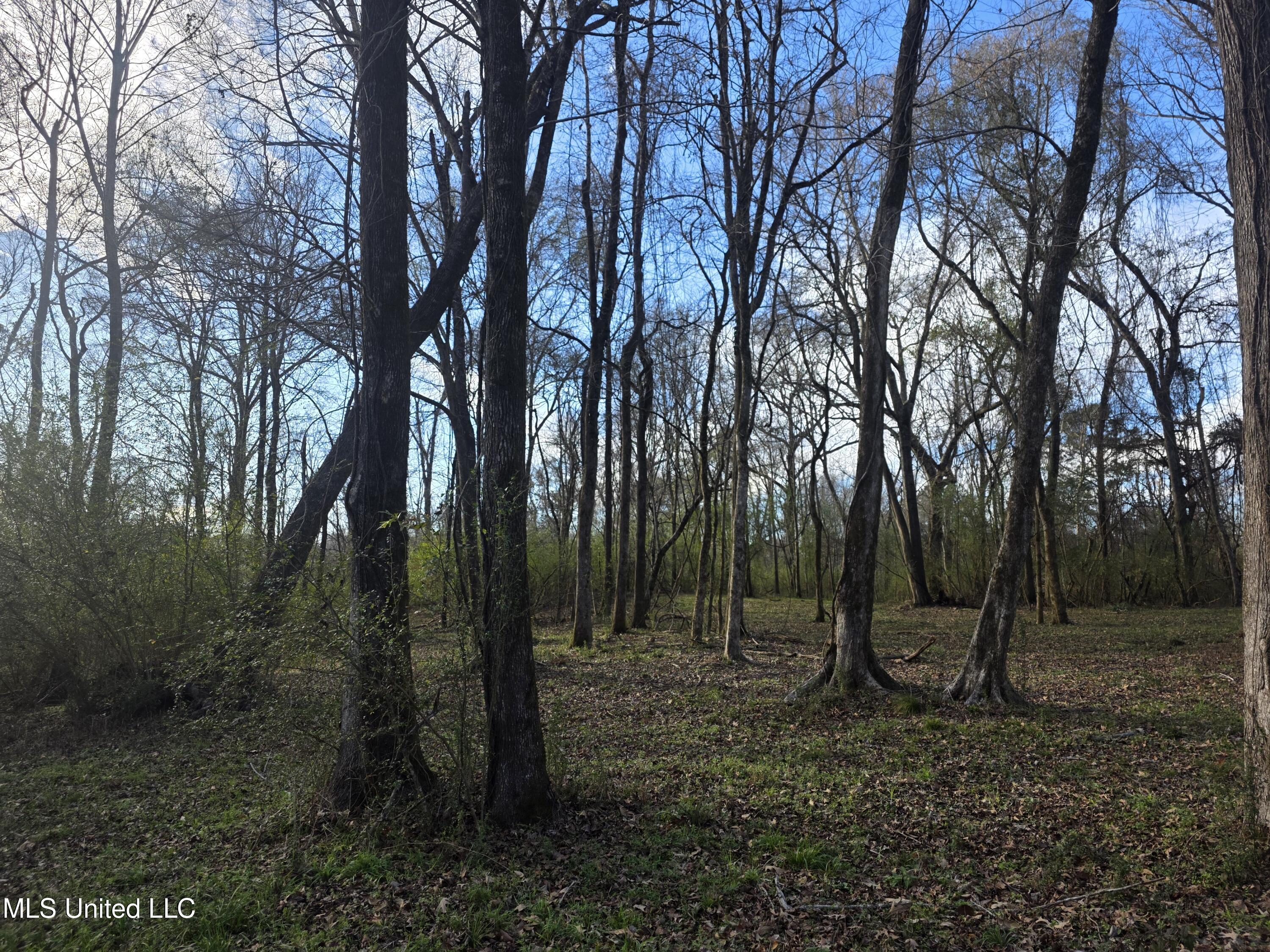 753 Old Highway 84 Roxie, MS 39661 - Photo 22 of 38 24069