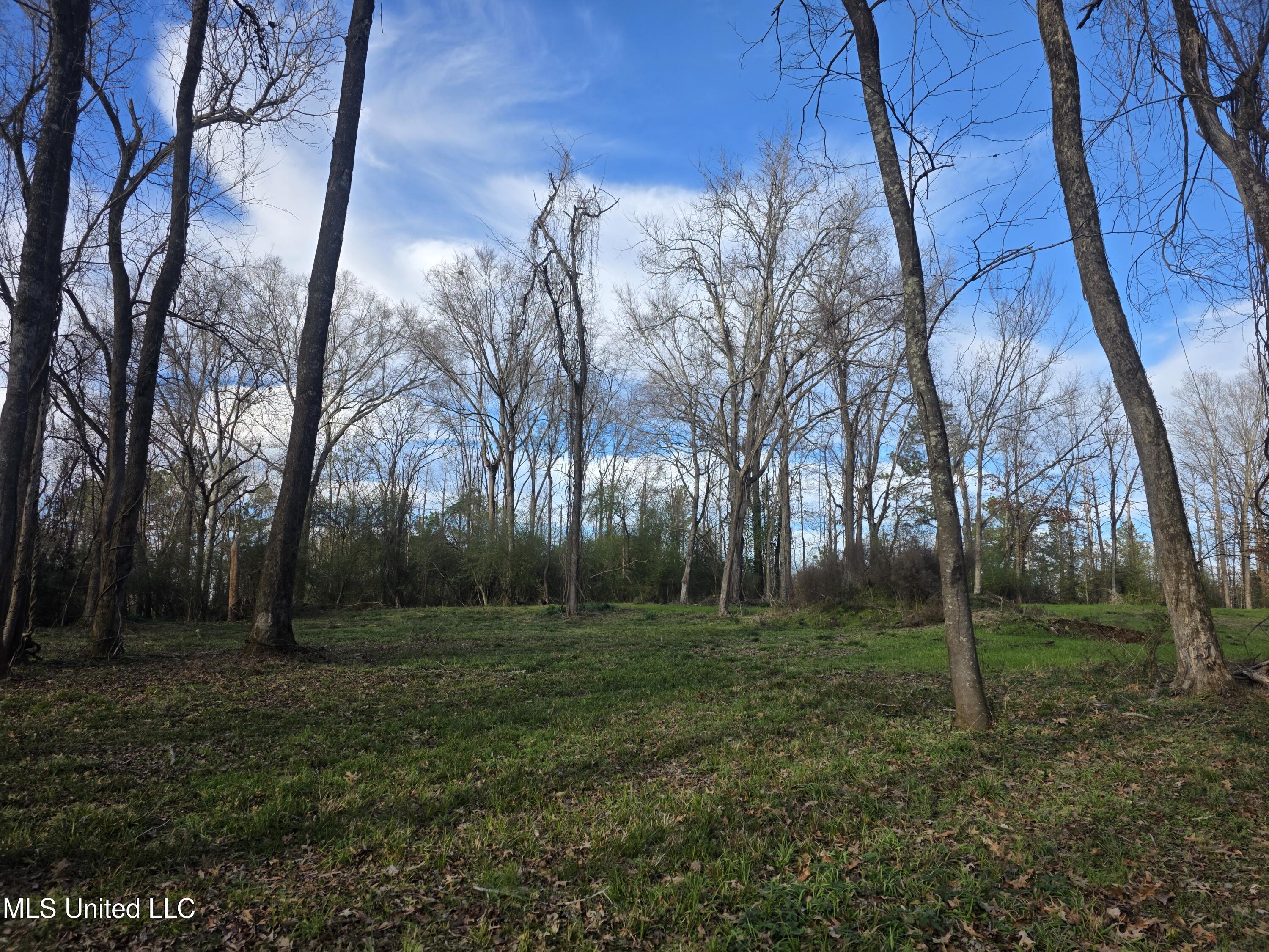 753 Old Highway 84 Roxie, MS 39661 - Photo 23 of 38 24070