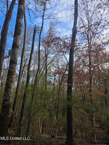 $175,000 | 753 Old Highway 84, Roxie, MS 39661