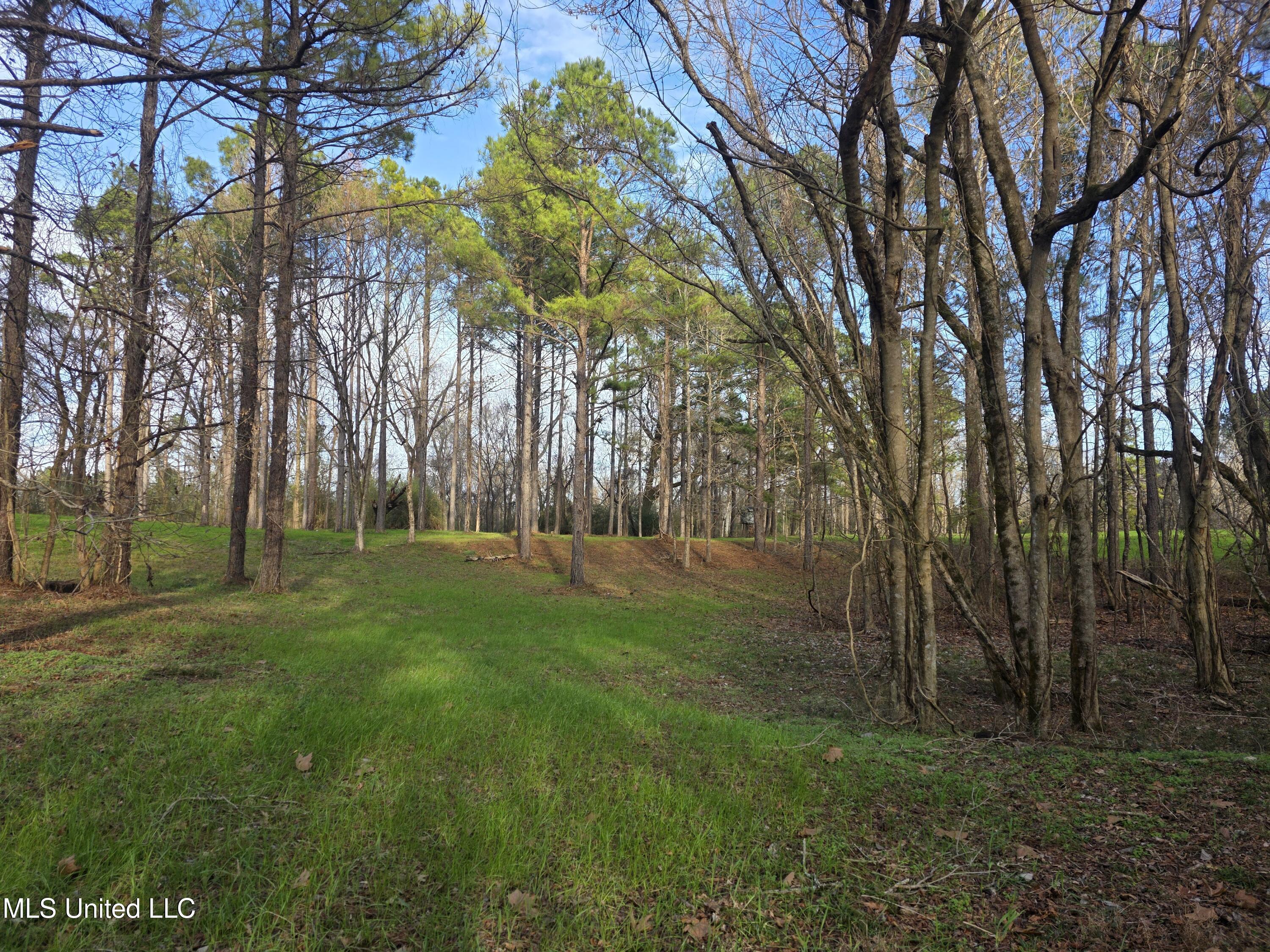 753 Old Highway 84 Roxie, MS 39661 - Photo 26 of 38 24080