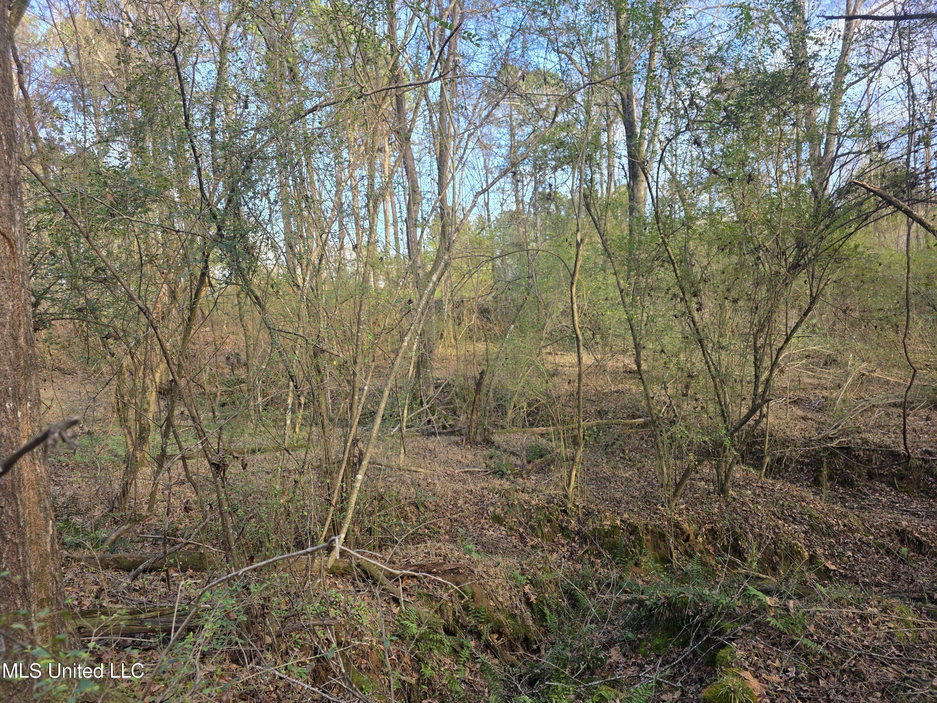 753 Old Highway 84 Roxie, MS 39661 - Photo 27 of 38 24079