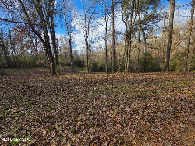 $175,000 | 753 Old Highway 84, Roxie, MS 39661