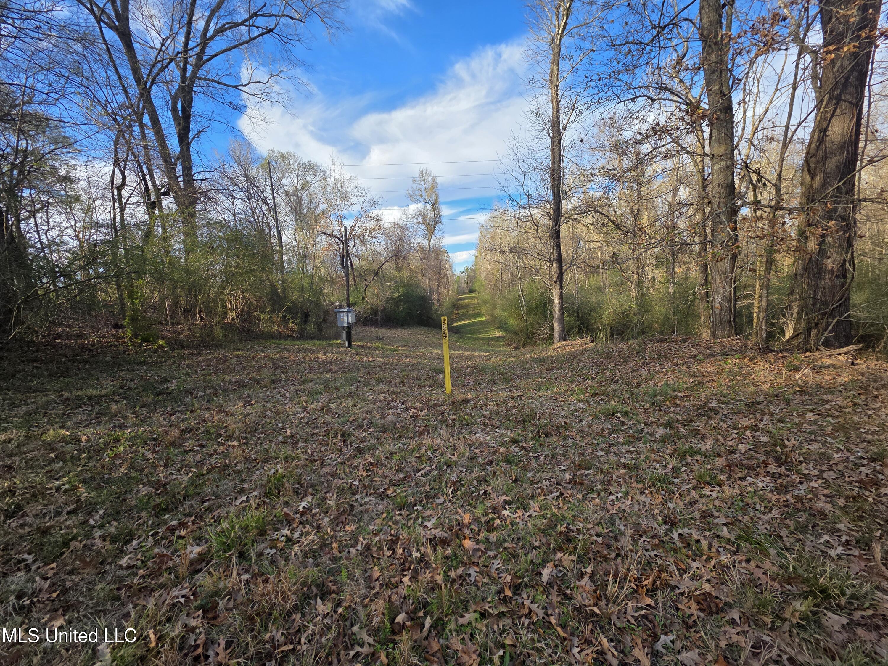 753 Old Highway 84 Roxie, MS 39661 - Photo 5 of 38 24025