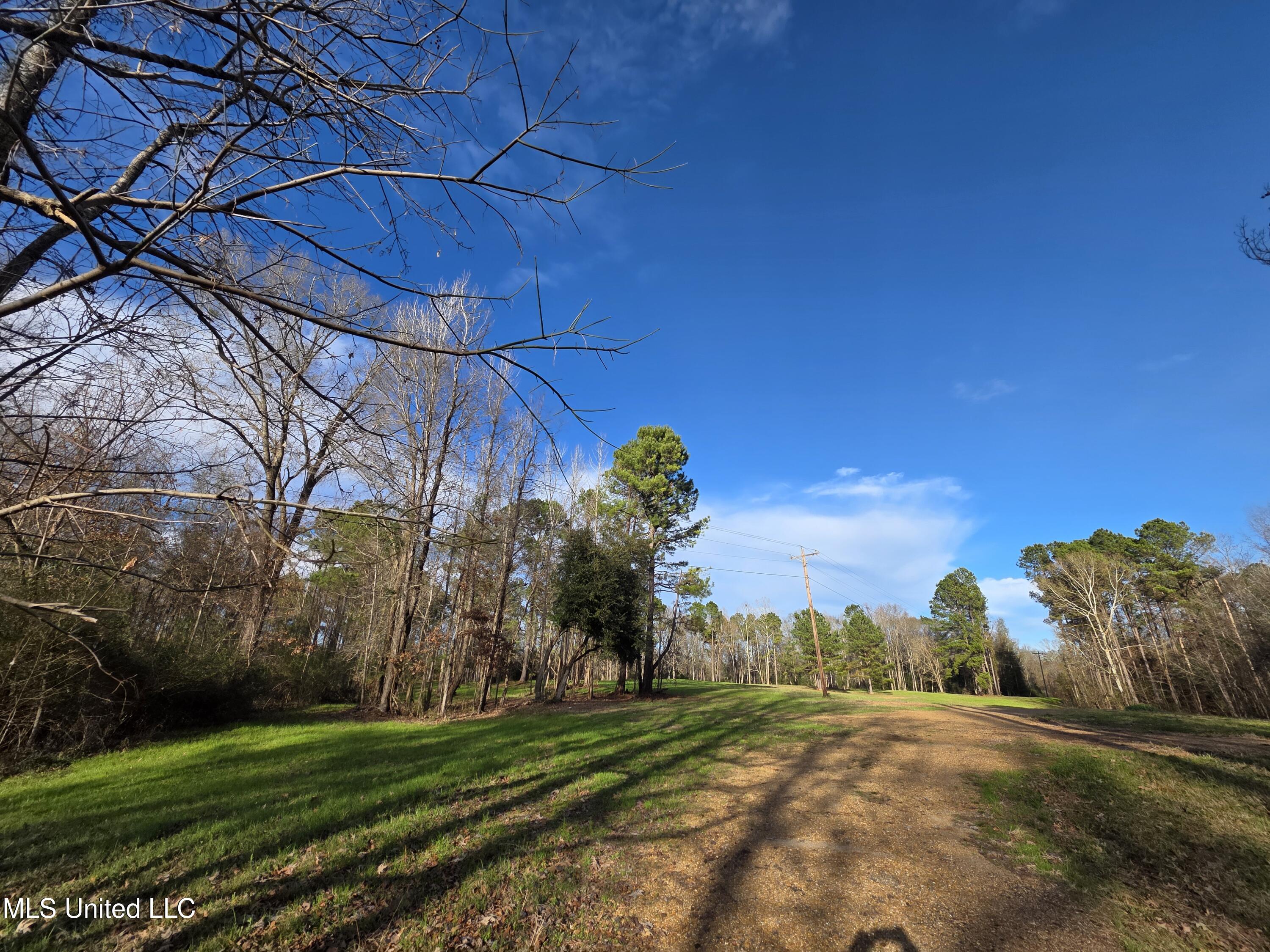 753 Old Highway 84 Roxie, MS 39661 - Photo 6 of 38 24029