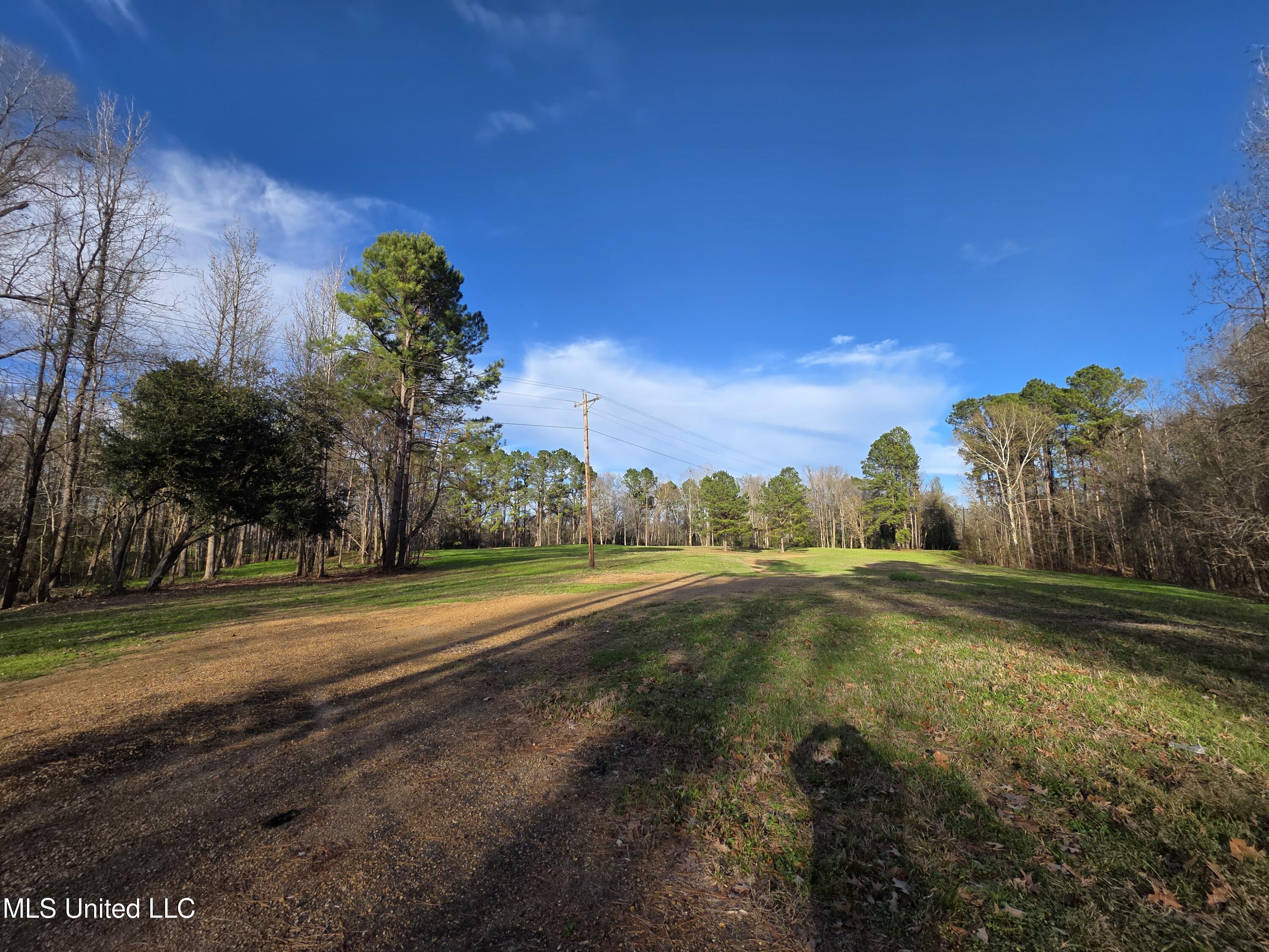 753 Old Highway 84 Roxie, MS 39661 - Photo 8 of 38 24034