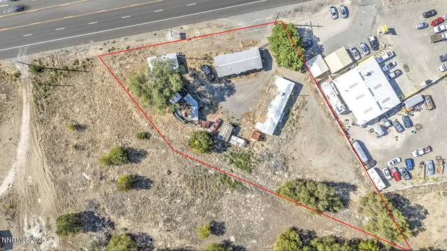 a picture of a flower in a garden